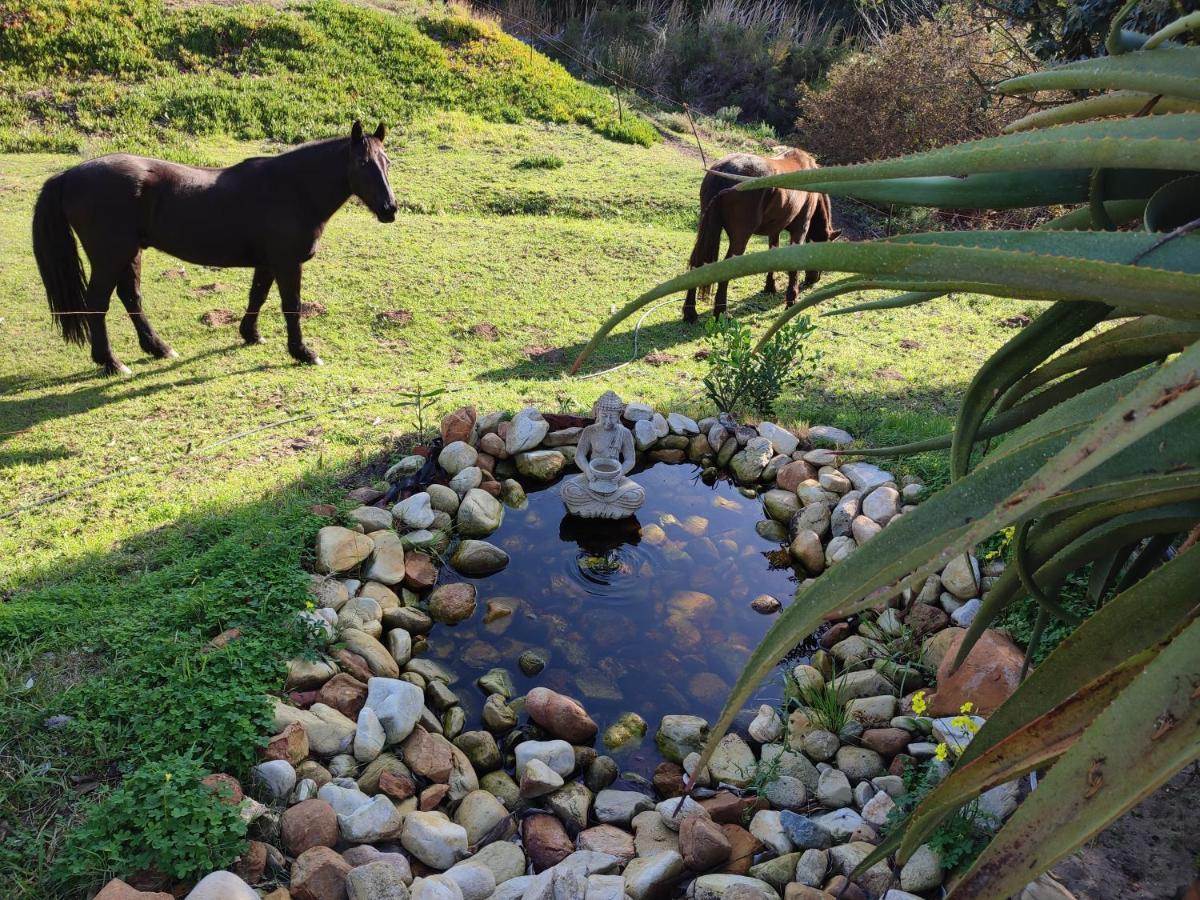 The Riverstone - Romantic Hideaway By The River - Loadshedding Free! Napier Extérieur photo