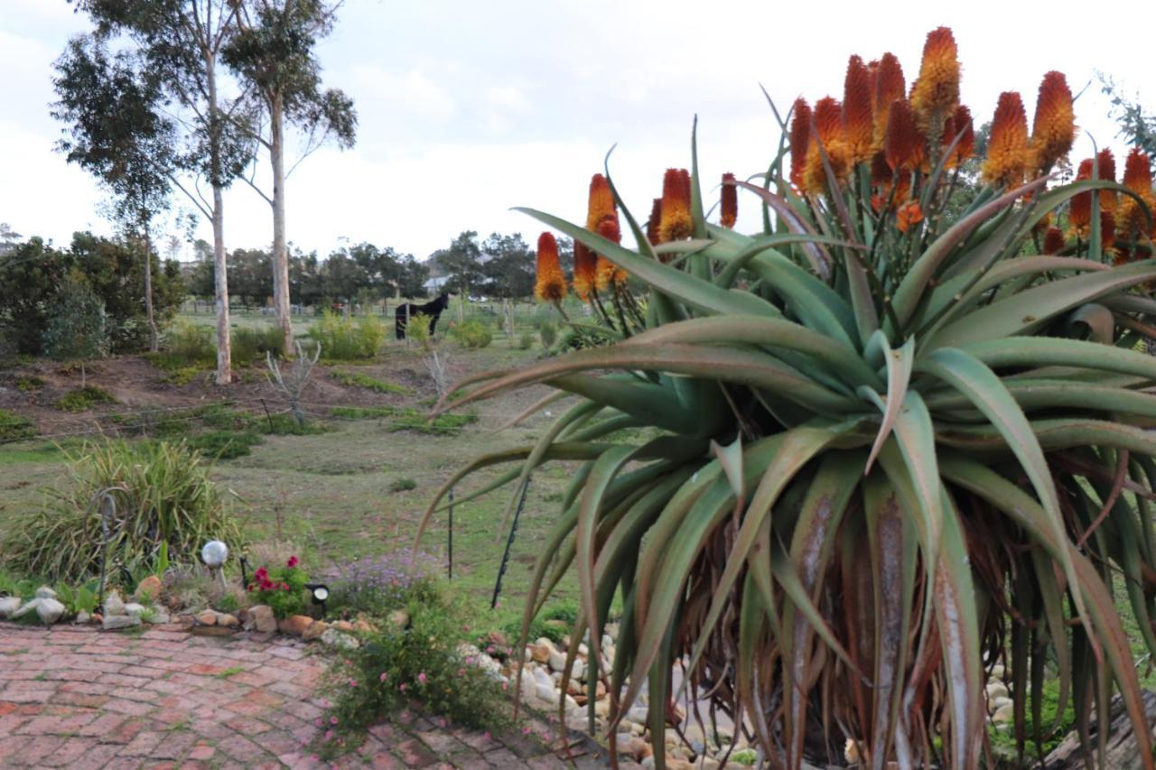 The Riverstone - Romantic Hideaway By The River - Loadshedding Free! Napier Extérieur photo