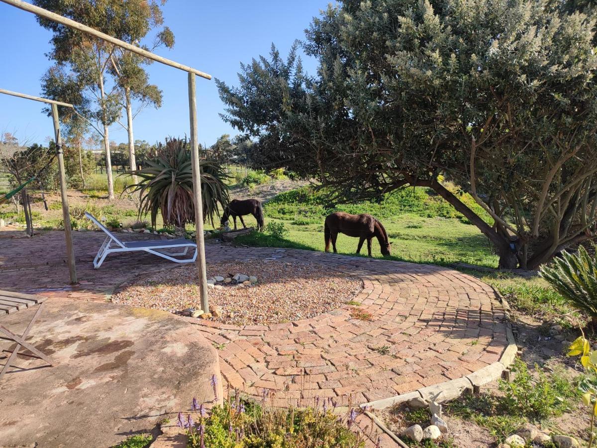 The Riverstone - Romantic Hideaway By The River - Loadshedding Free! Napier Extérieur photo