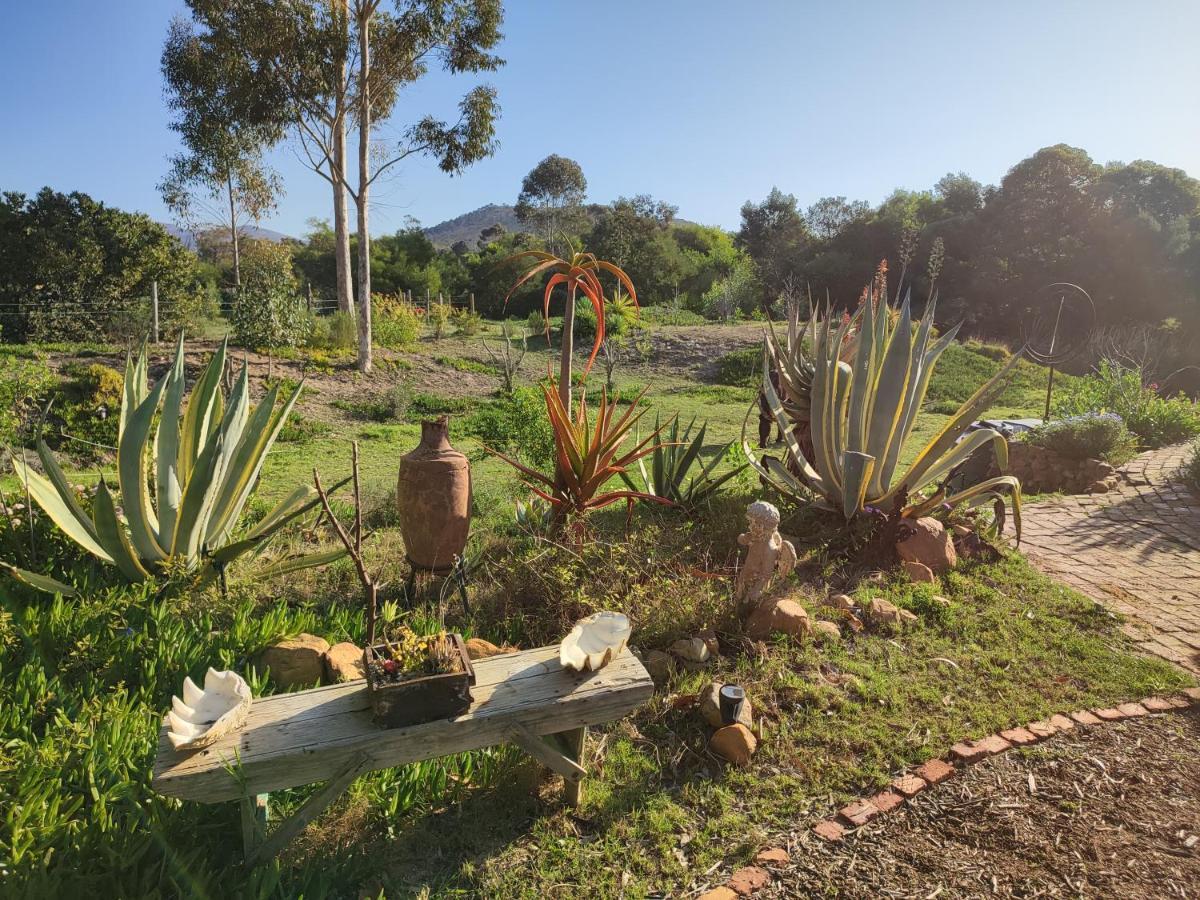 The Riverstone - Romantic Hideaway By The River - Loadshedding Free! Napier Extérieur photo